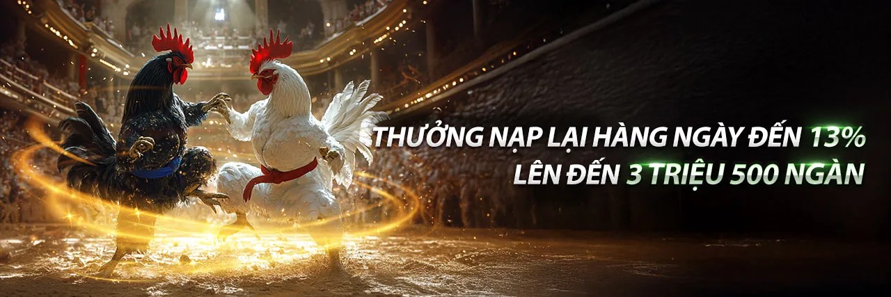 Sân đấu đá gà trực tuyến sôi động tại Helo888 link hôm nay, với các chiến kê dũng mãnh và không khí cá cược hấp dẫn.